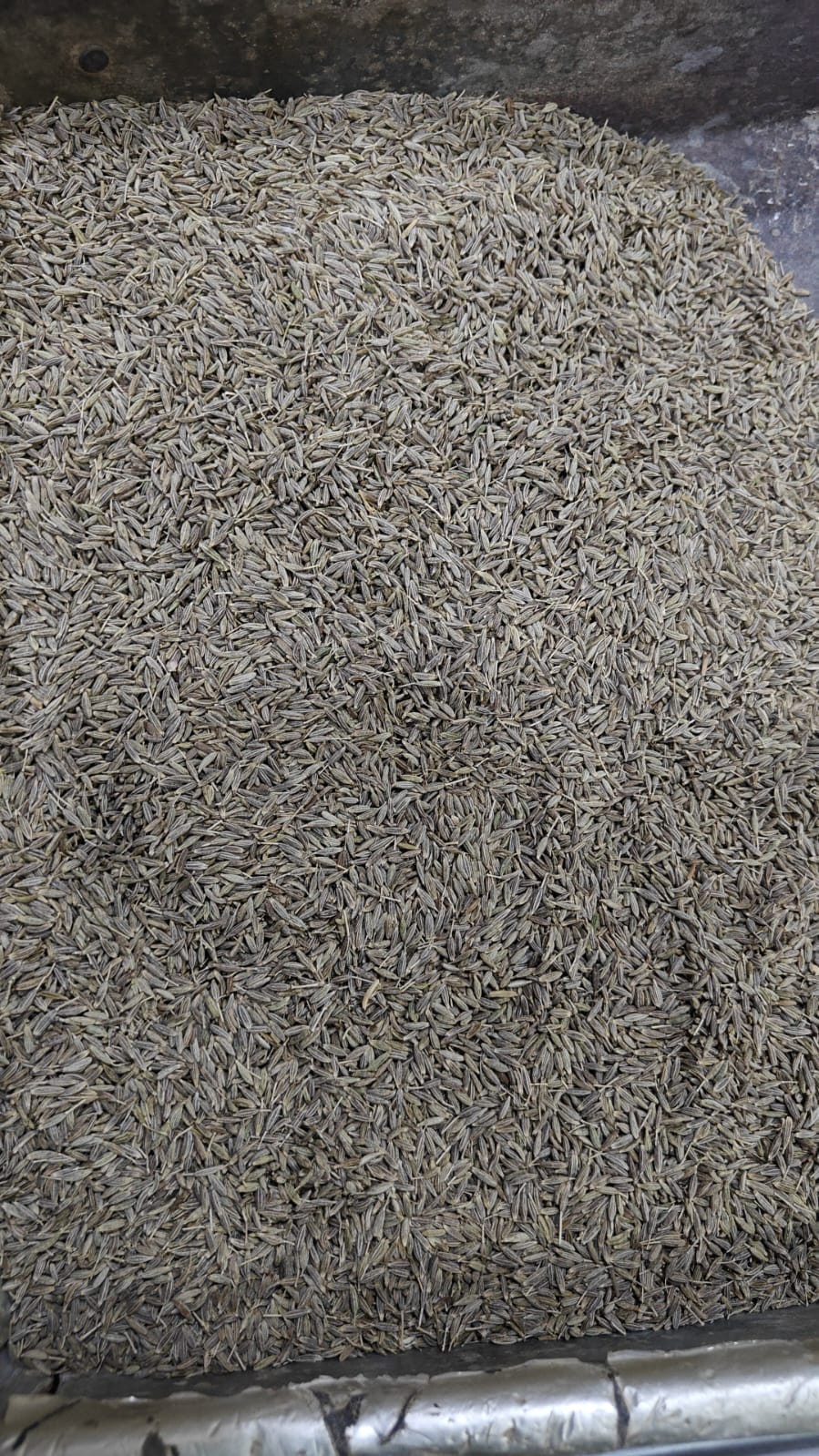 Cumin Seeds
